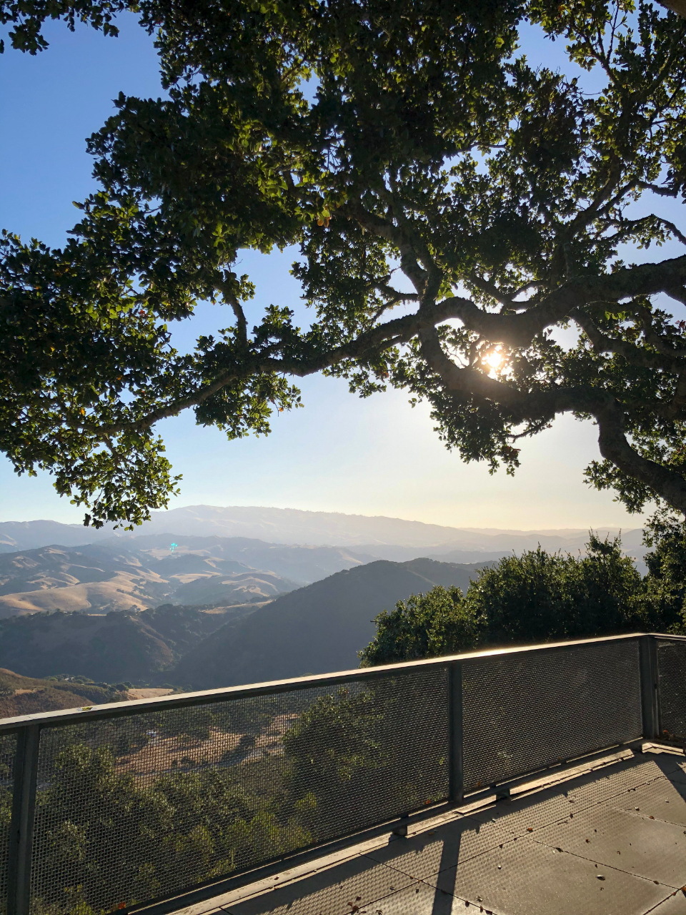Ninebark Candy Stop — Oct 31