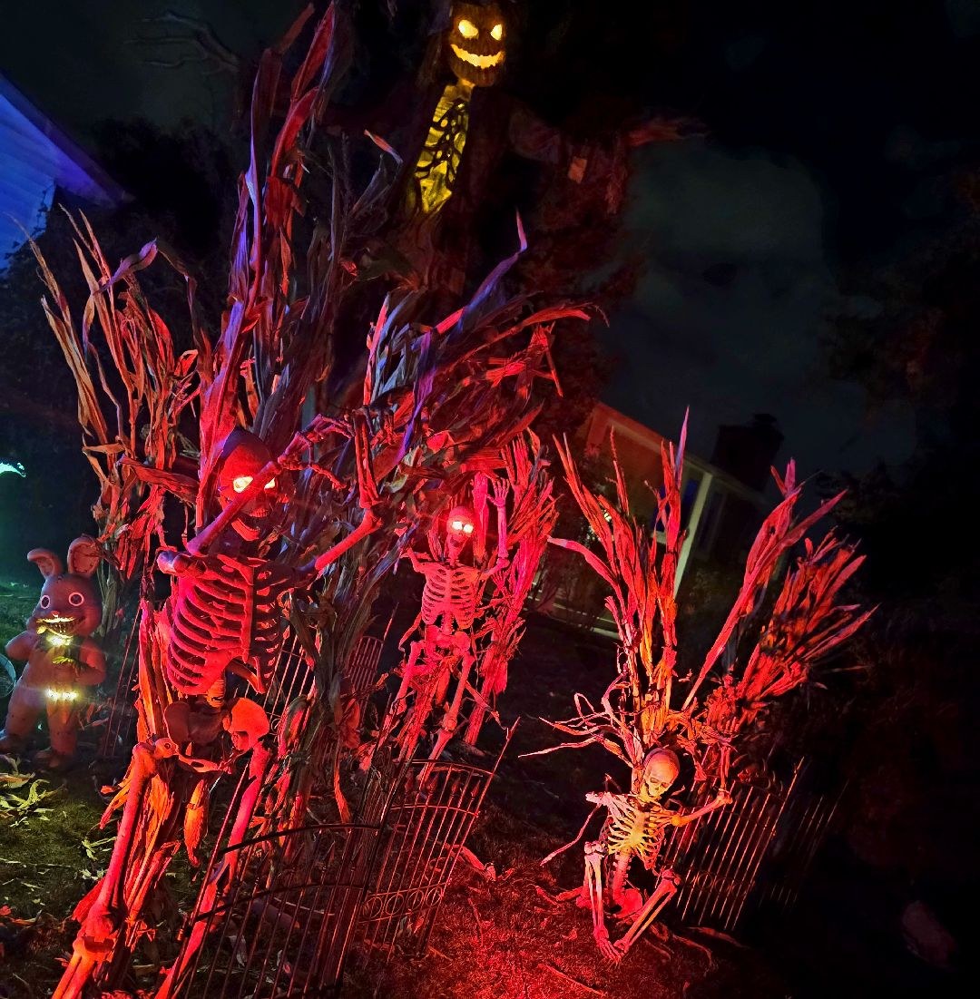 Five Nights At Misty's