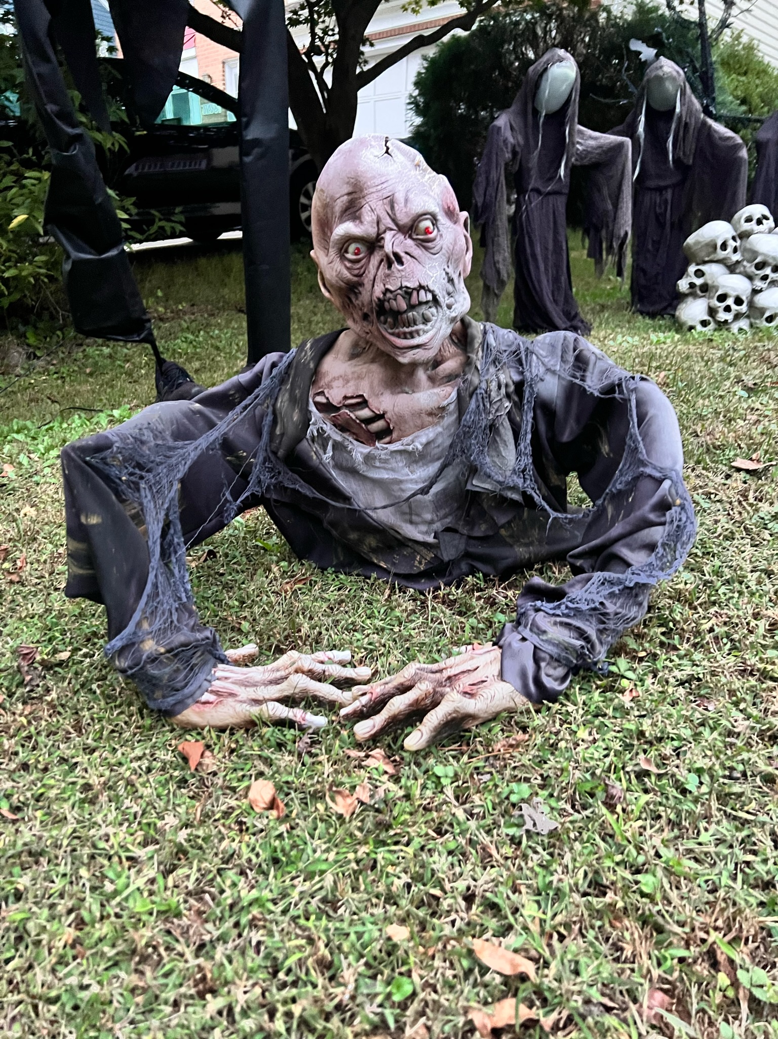 Farina Family Frightmare — 9 Moro Drive, Hamilton