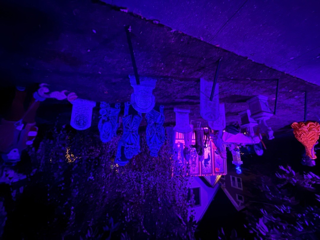 Disney Haunted Mansion.