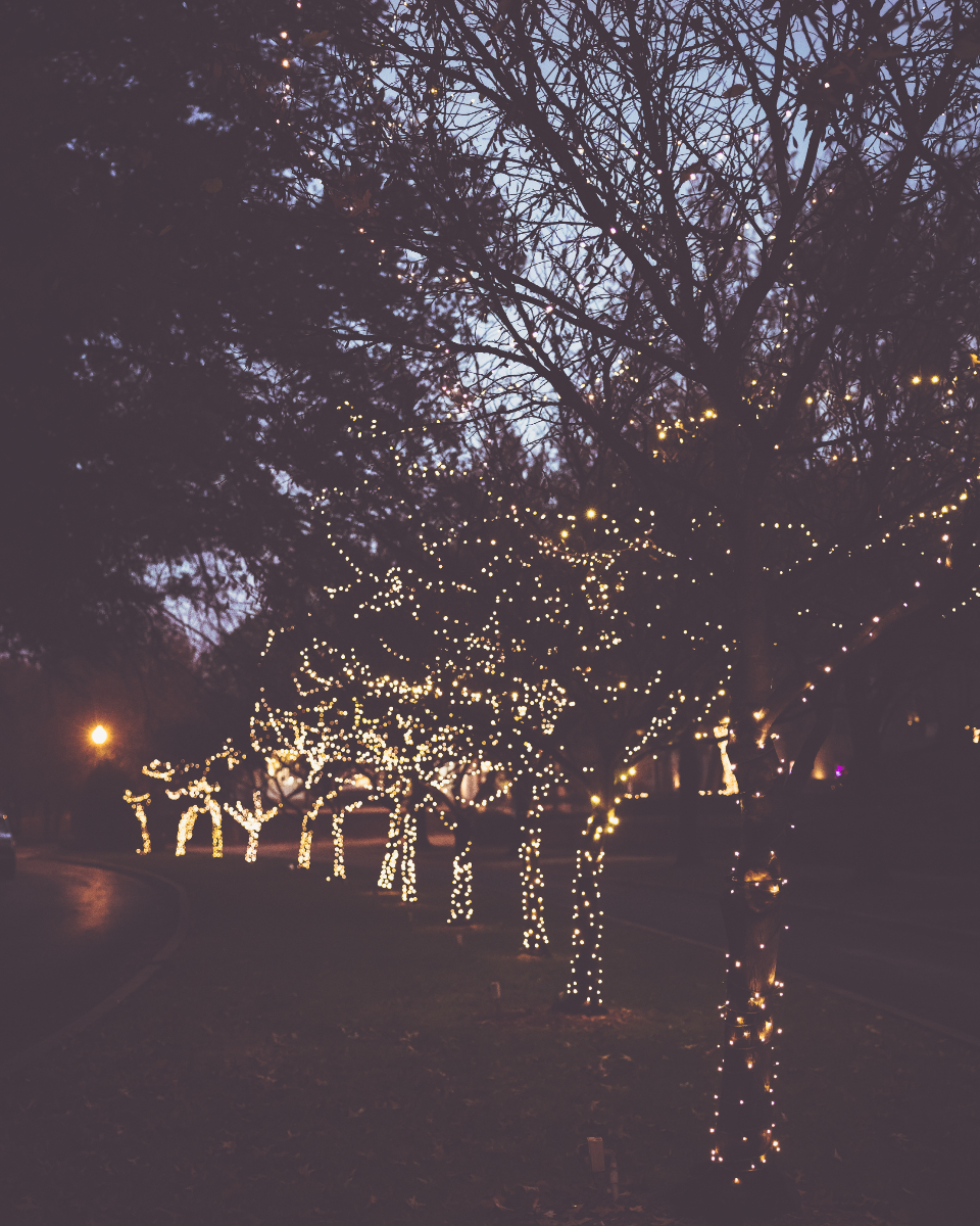 The Haunt on Clearview