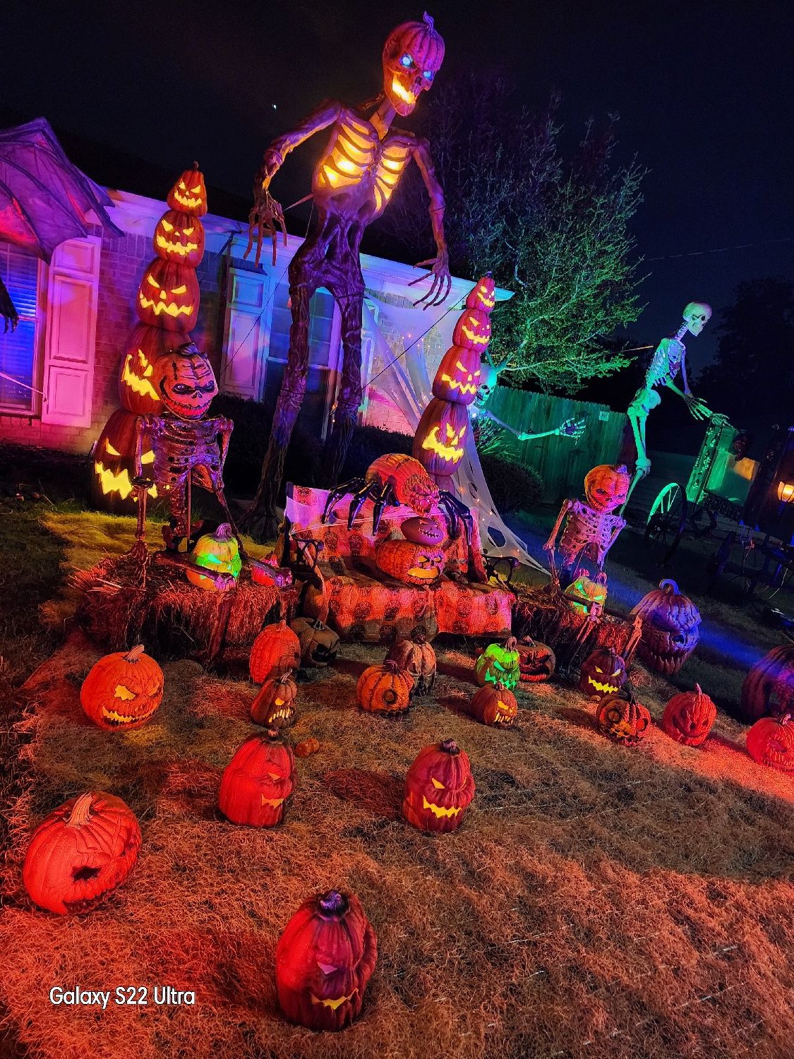 Nightmare on Elm Branch Dr