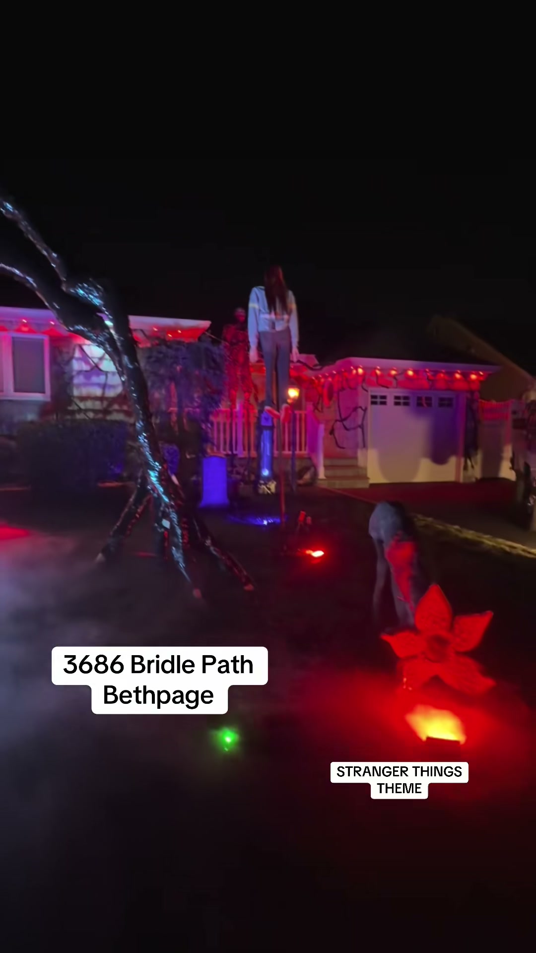 3686 Bridle Path — Bethpage (Stranger Things)