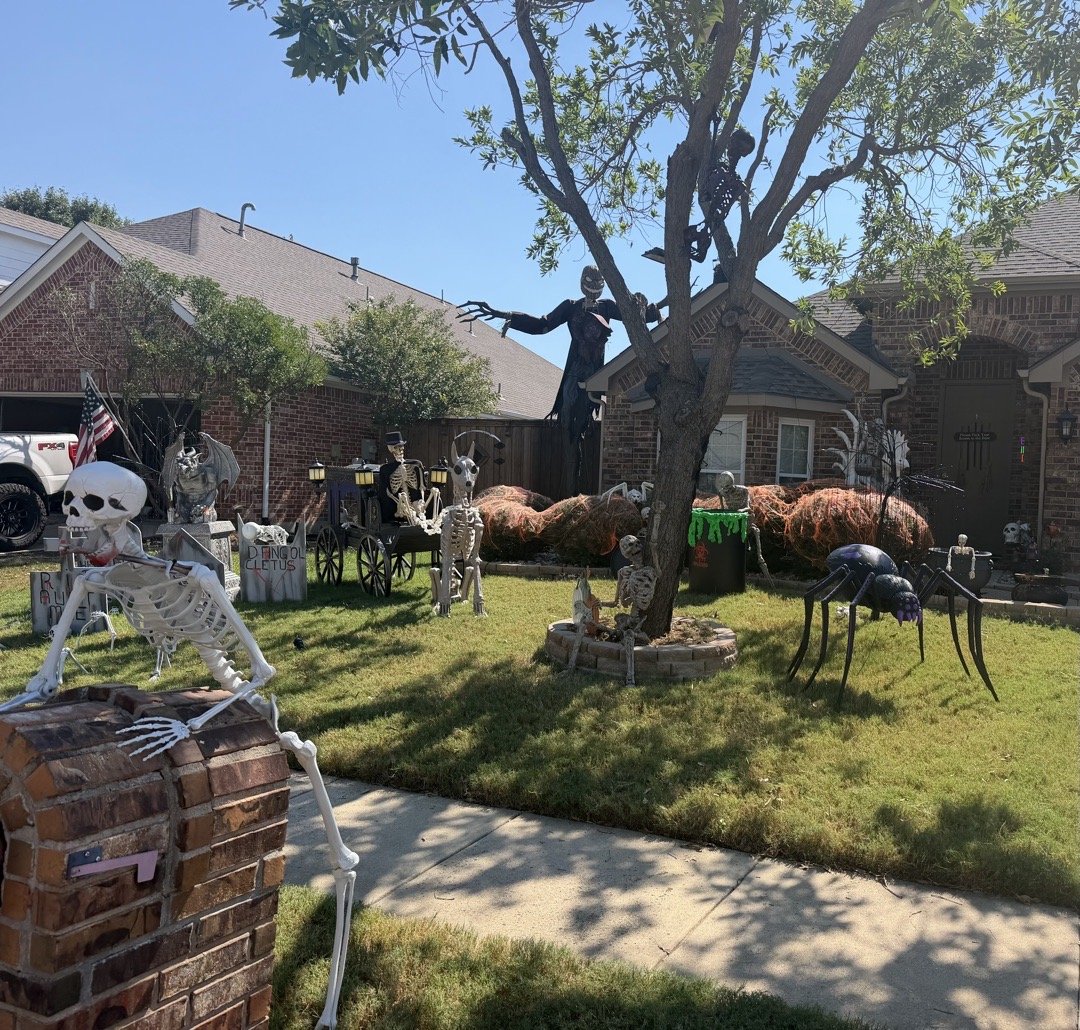Bone Yard