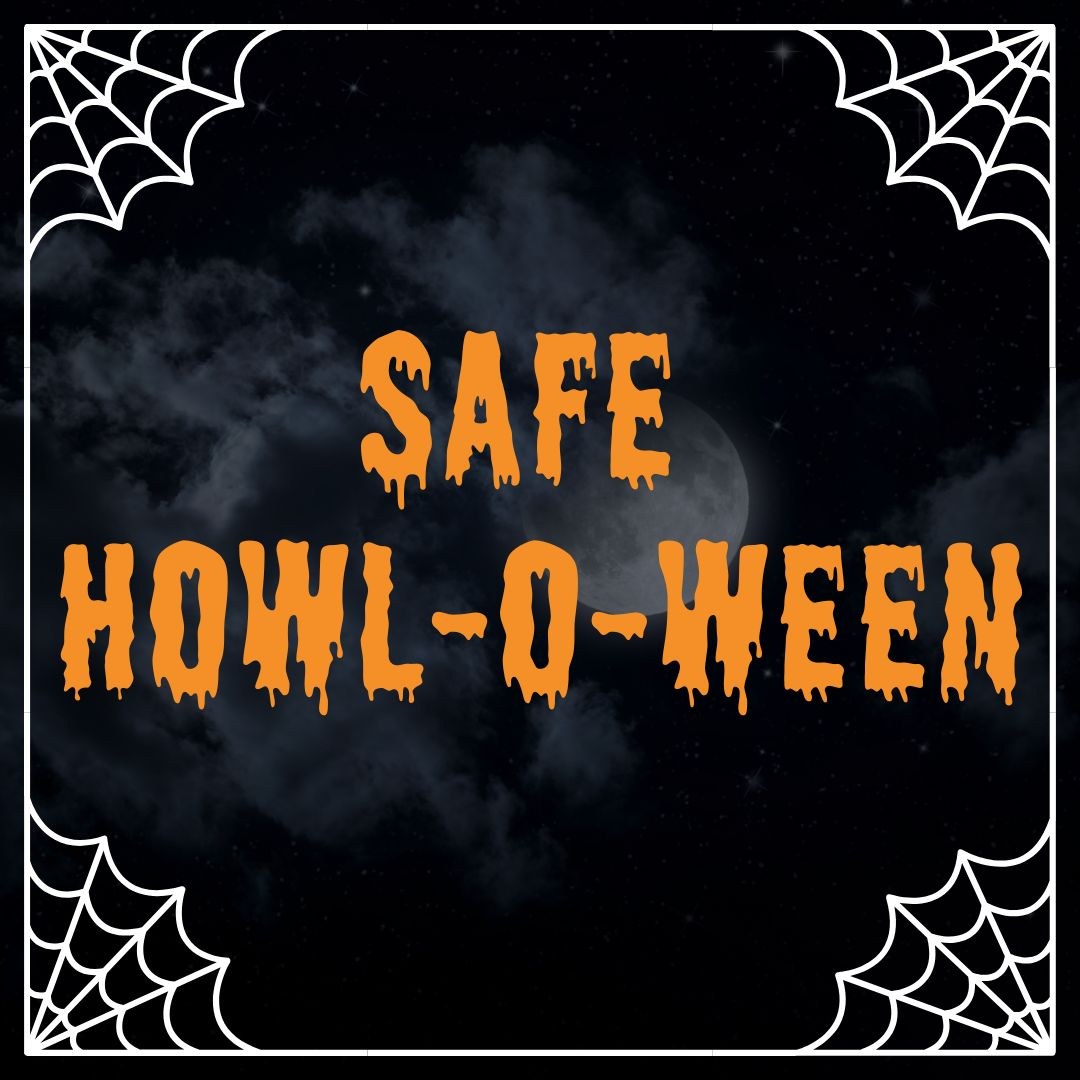Howl-O-Ween — Turtle Back Zoo, West Orange · Sat Oct 31 · 4–8pm · $5