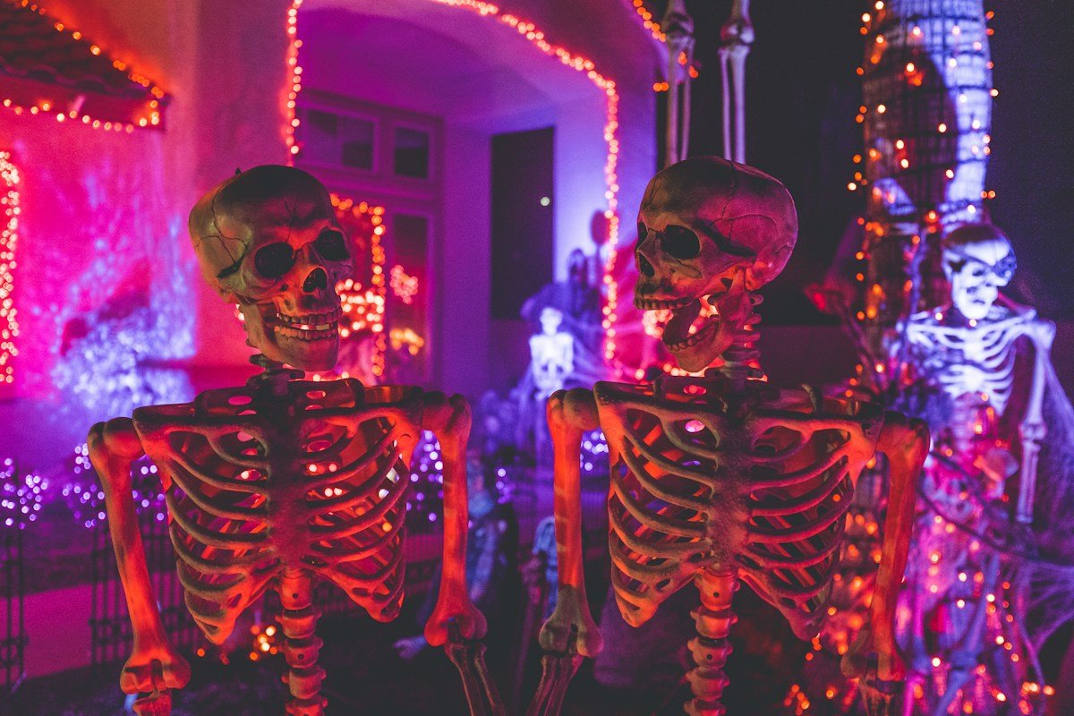Fox Halloween