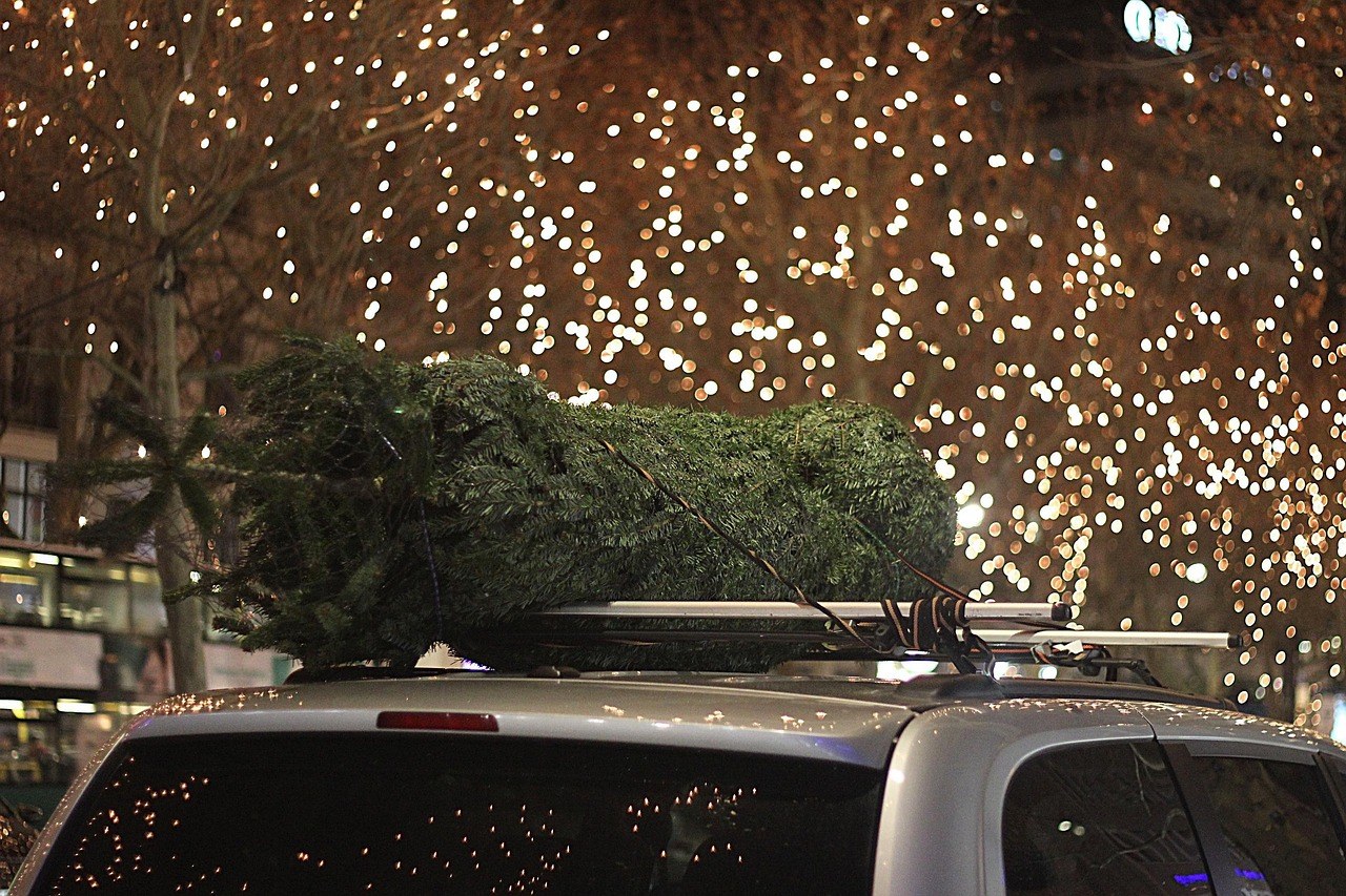 Fir Ave Lights