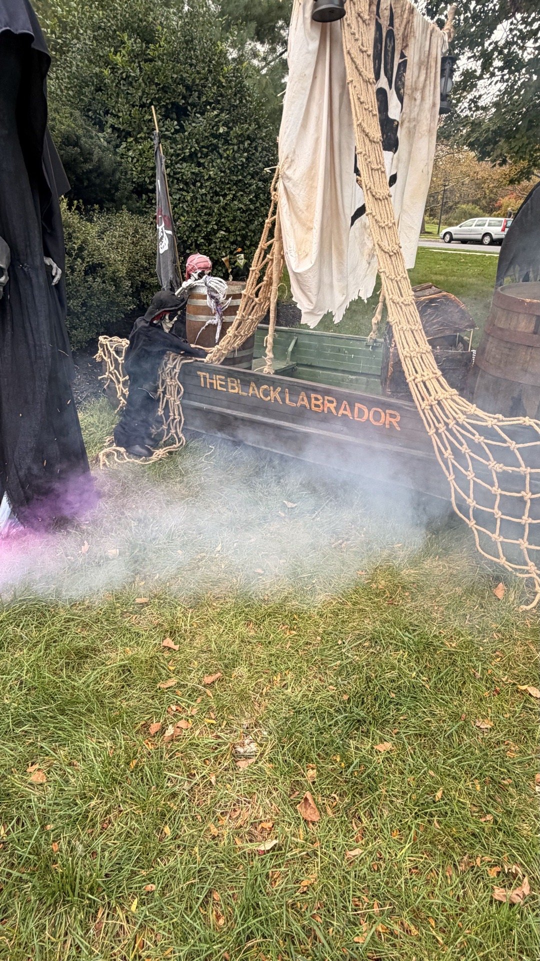 The Black Labrador: A Pirate’s Howl 🏴‍☠️