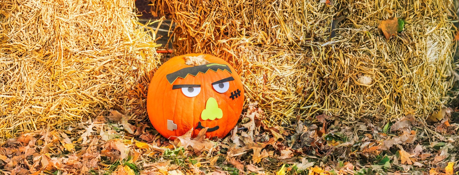 BKLYN BOO! — Downtown Brooklyn · Fri Oct 30 · 4–6pm · FREE