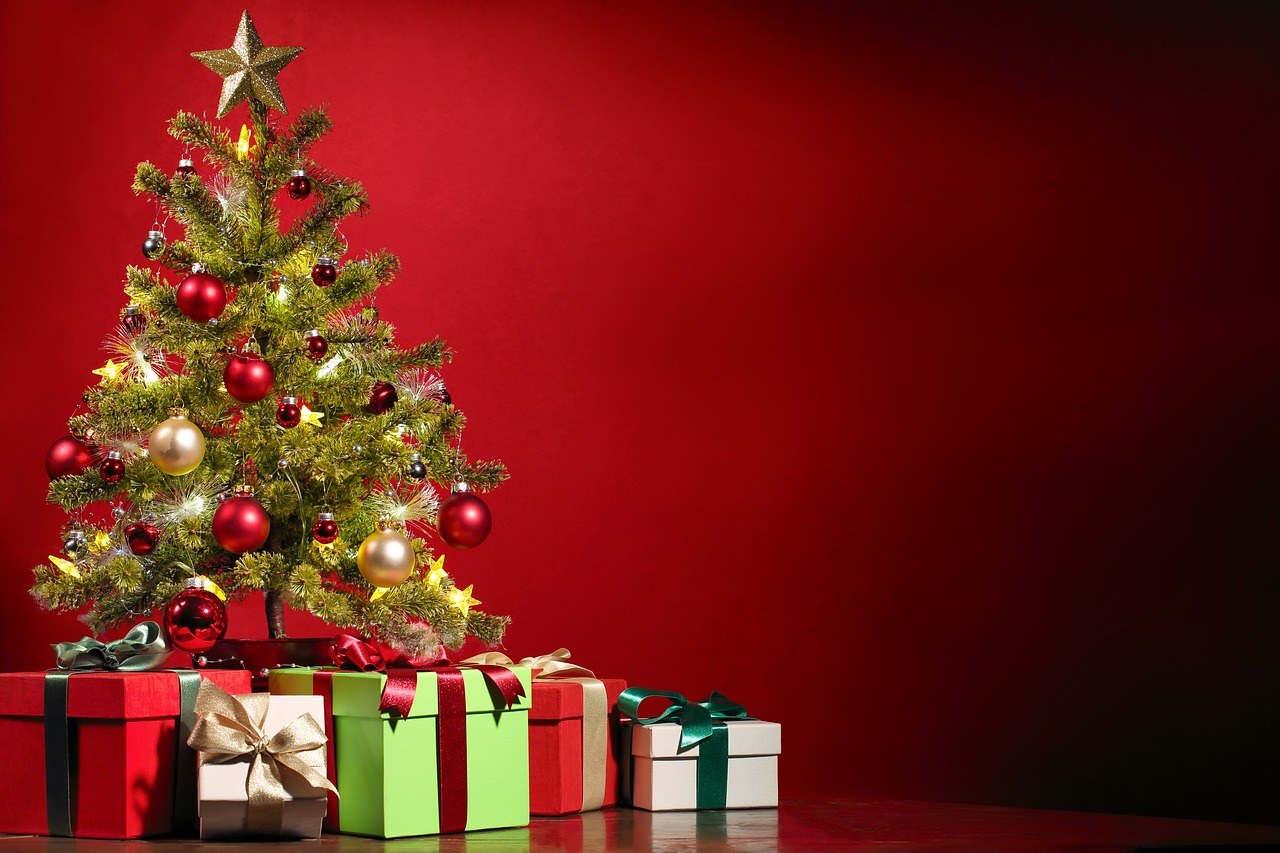 Christmas In Bardonia
