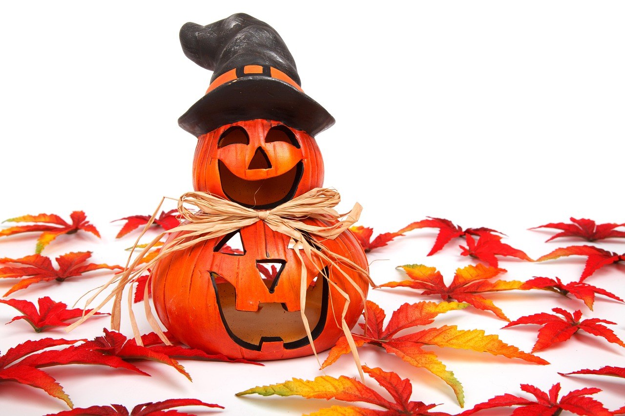 Treat Farm — Fall Season