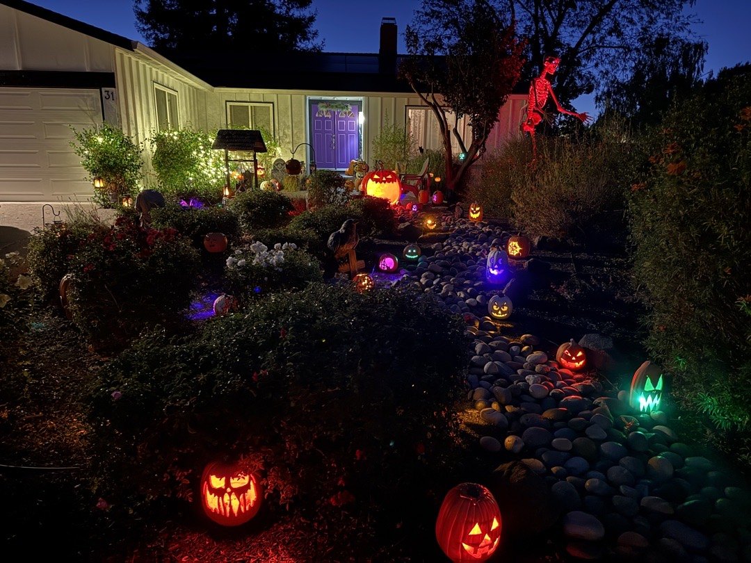 Full Moon Pumpkin Patch
