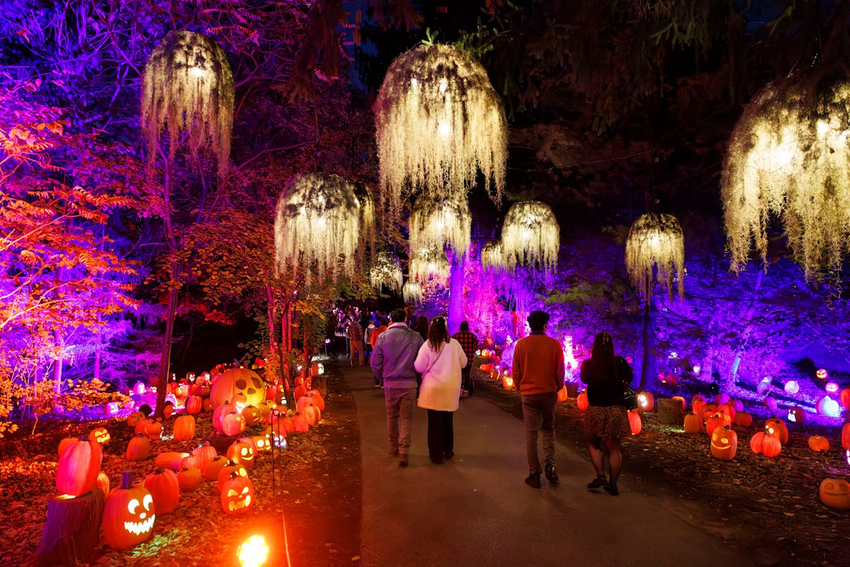 Harvest Nights at Newfields — Newfields · Sep 25-Nov 1