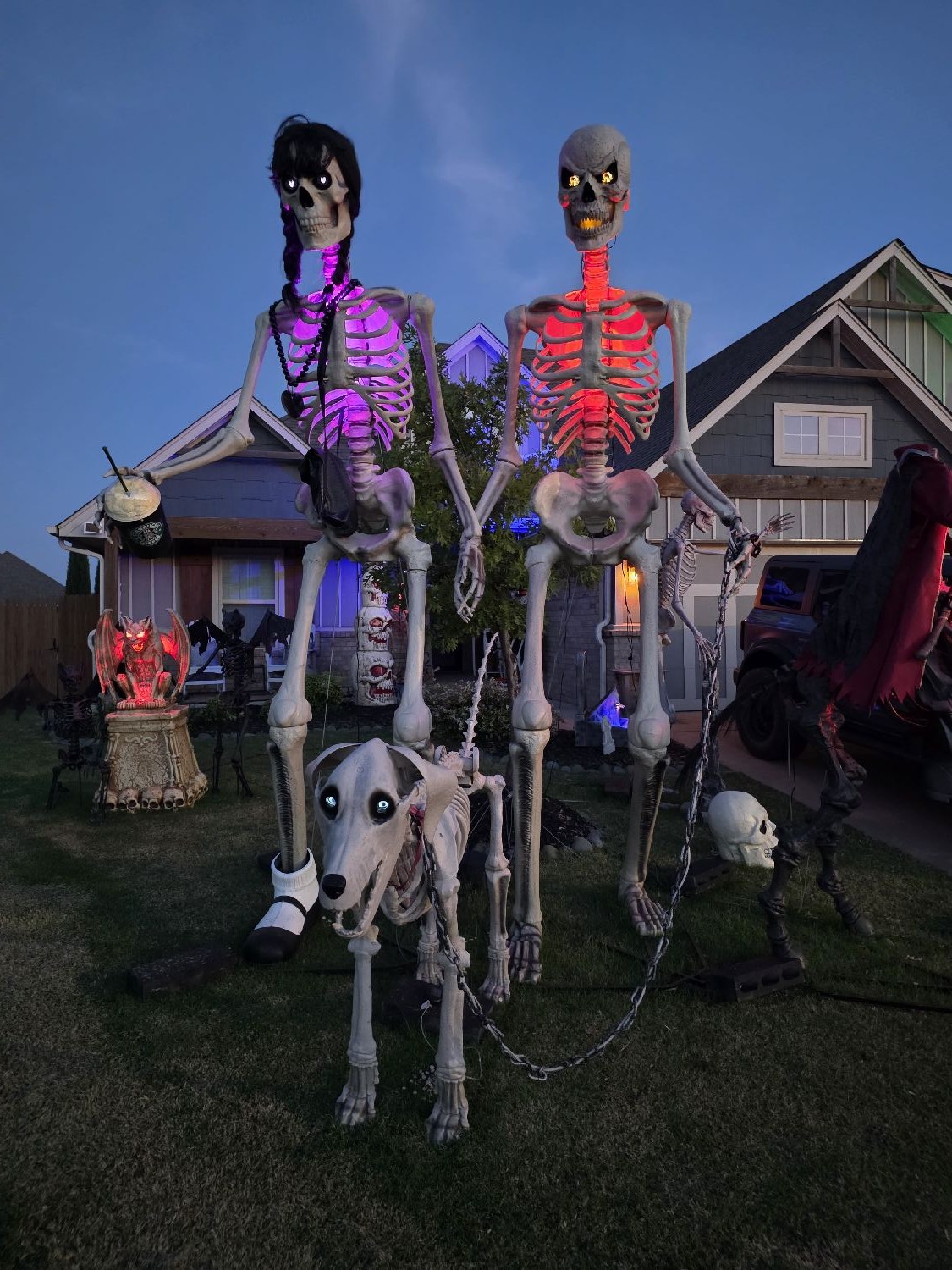 Mr. Bones