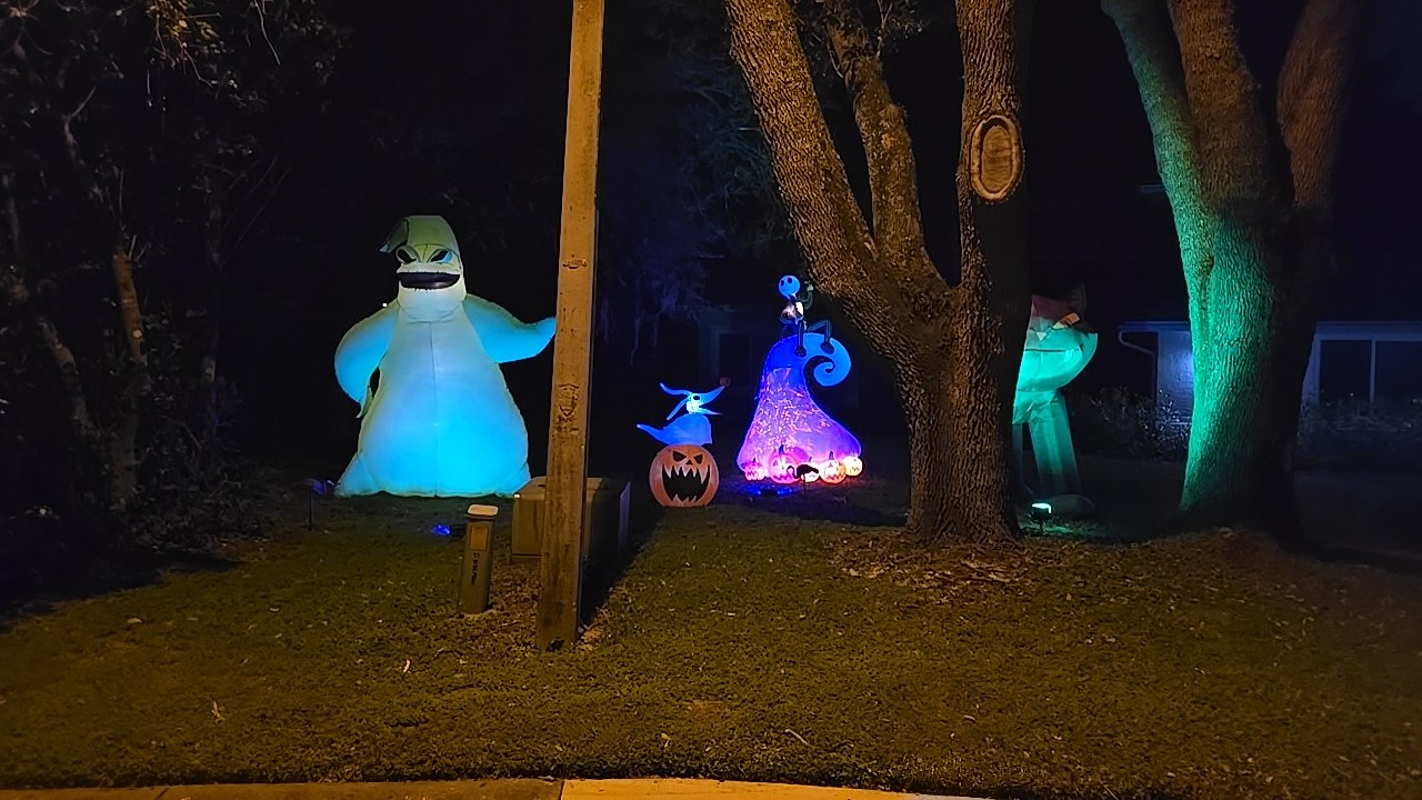 First Year In A New House Display