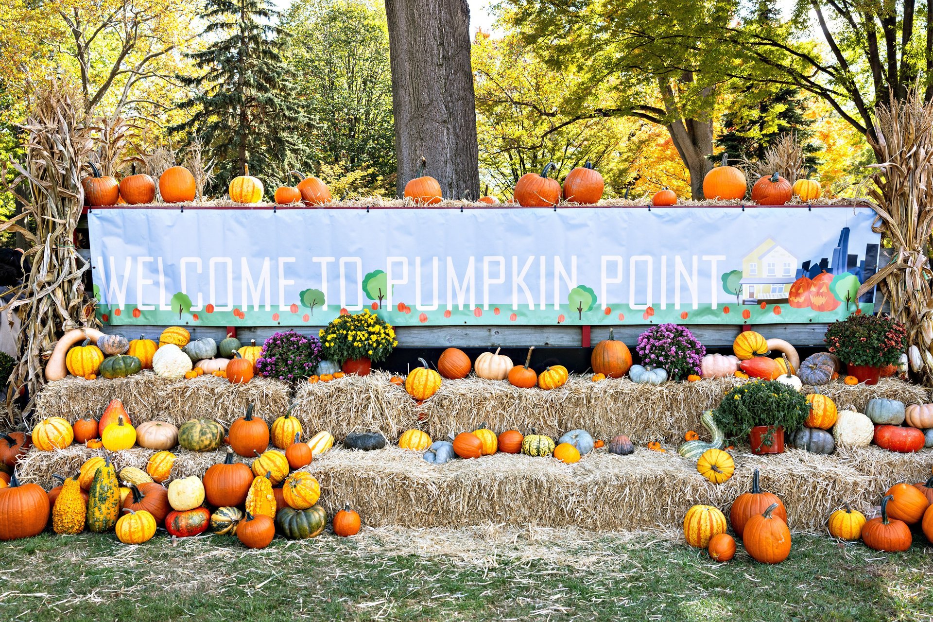 Pumpkin Point — Governors Island · Sat Oct 24 & Sun Oct 25 · 10am–5pm · FREE