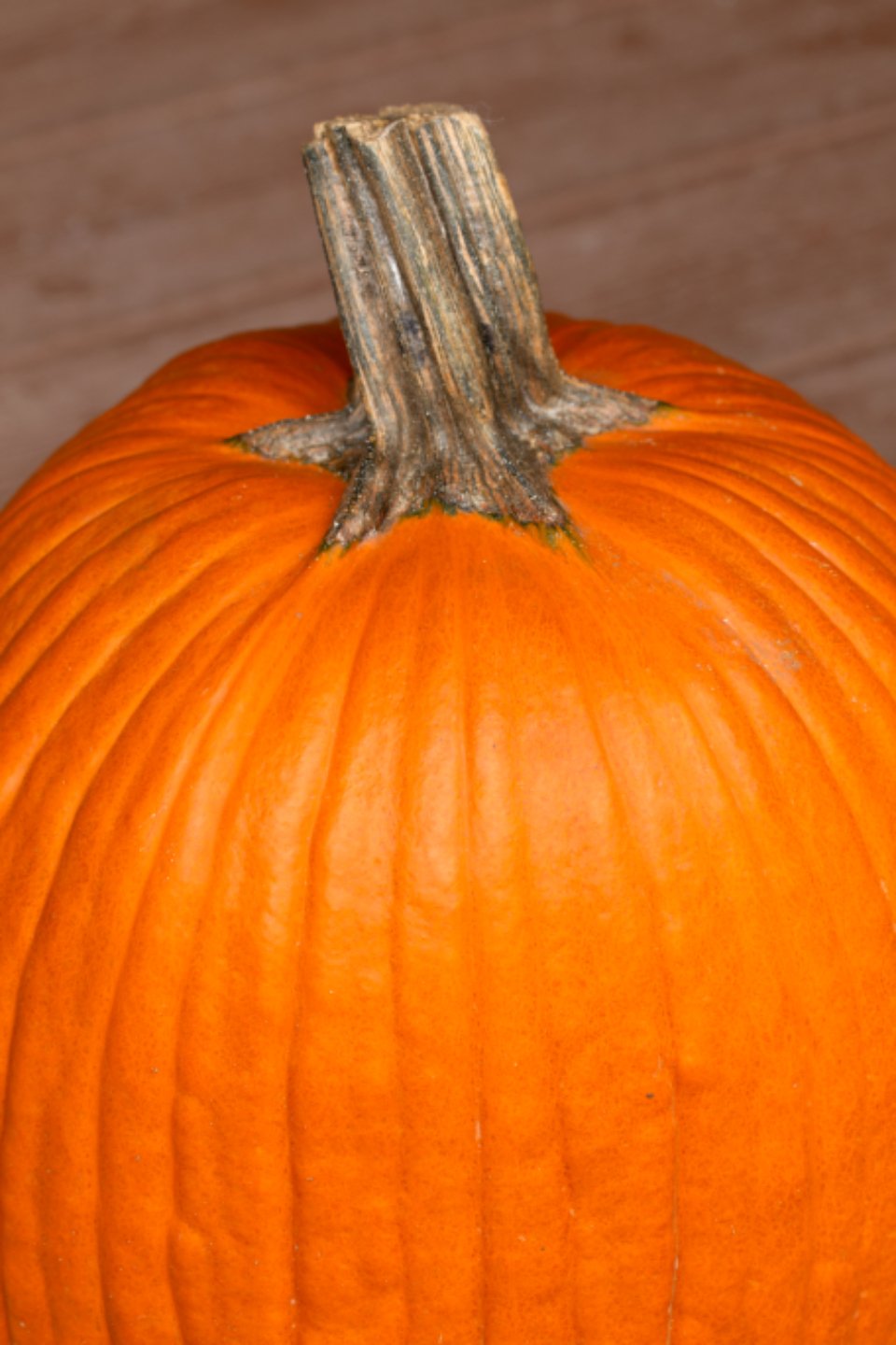 Ana Manor Halloween Display