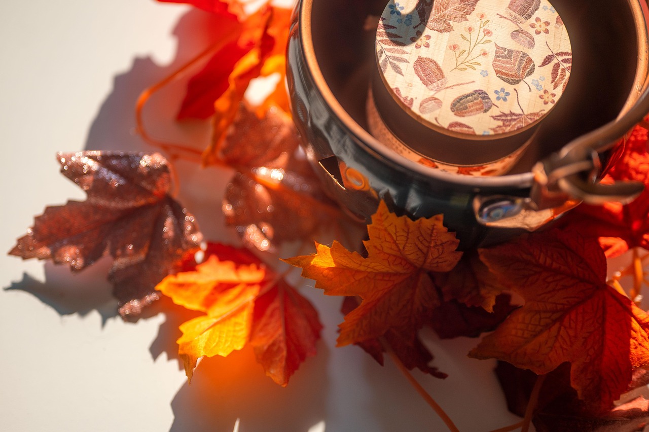 Bierman Autism Centers Sensory-Friendly Trunk-or-Treat (Oct 24, 2026, 10am-12pm)