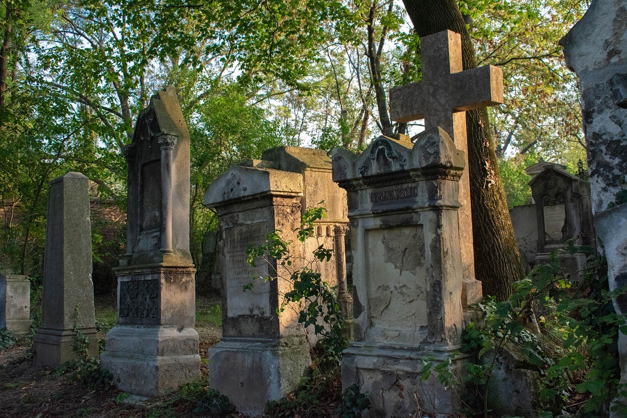 Scarrybrooke Park Haunted Trail