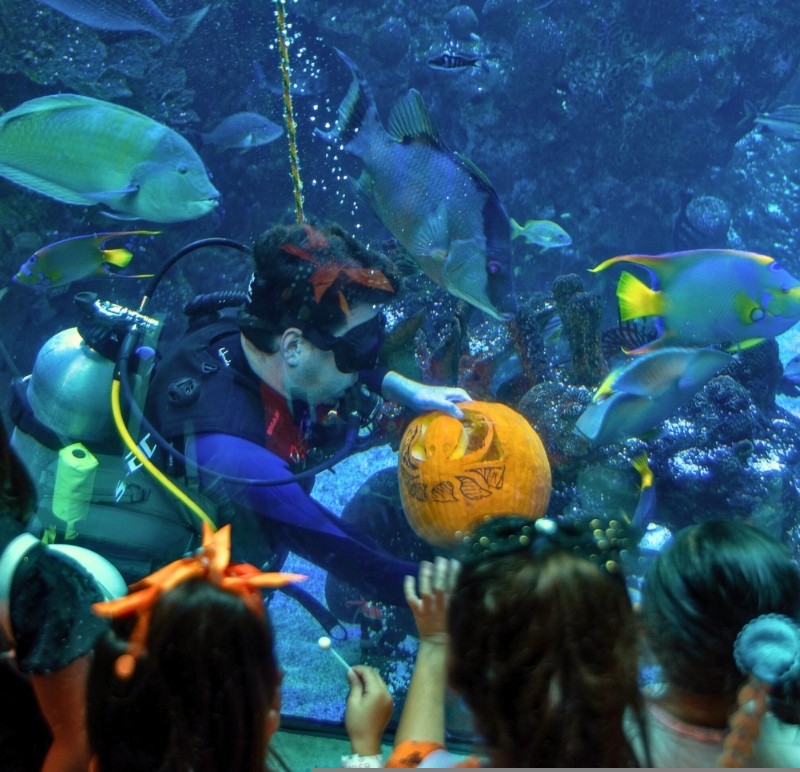 10th Annual Spooky Science Monster Mash — Phillip and Patricia Frost Museum of Science · Sat Oct 31