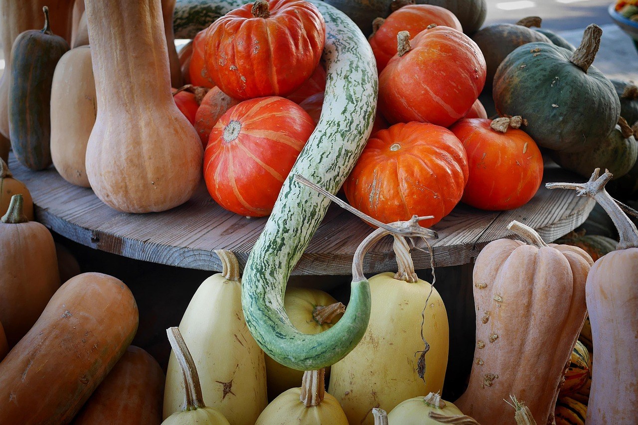 The Apple Place — Fall Season