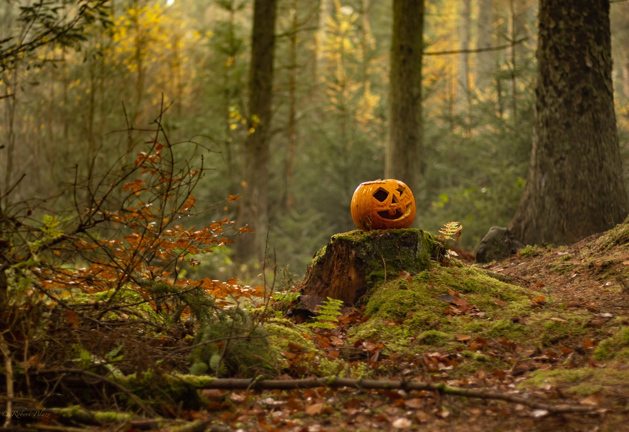 Halloween Tricks, Treats and Trees at Robinson Nature Center (Oct 24 to Oct 25)