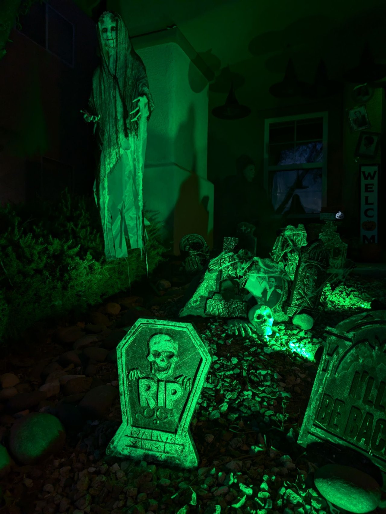 Seguin's Spooky Yard
