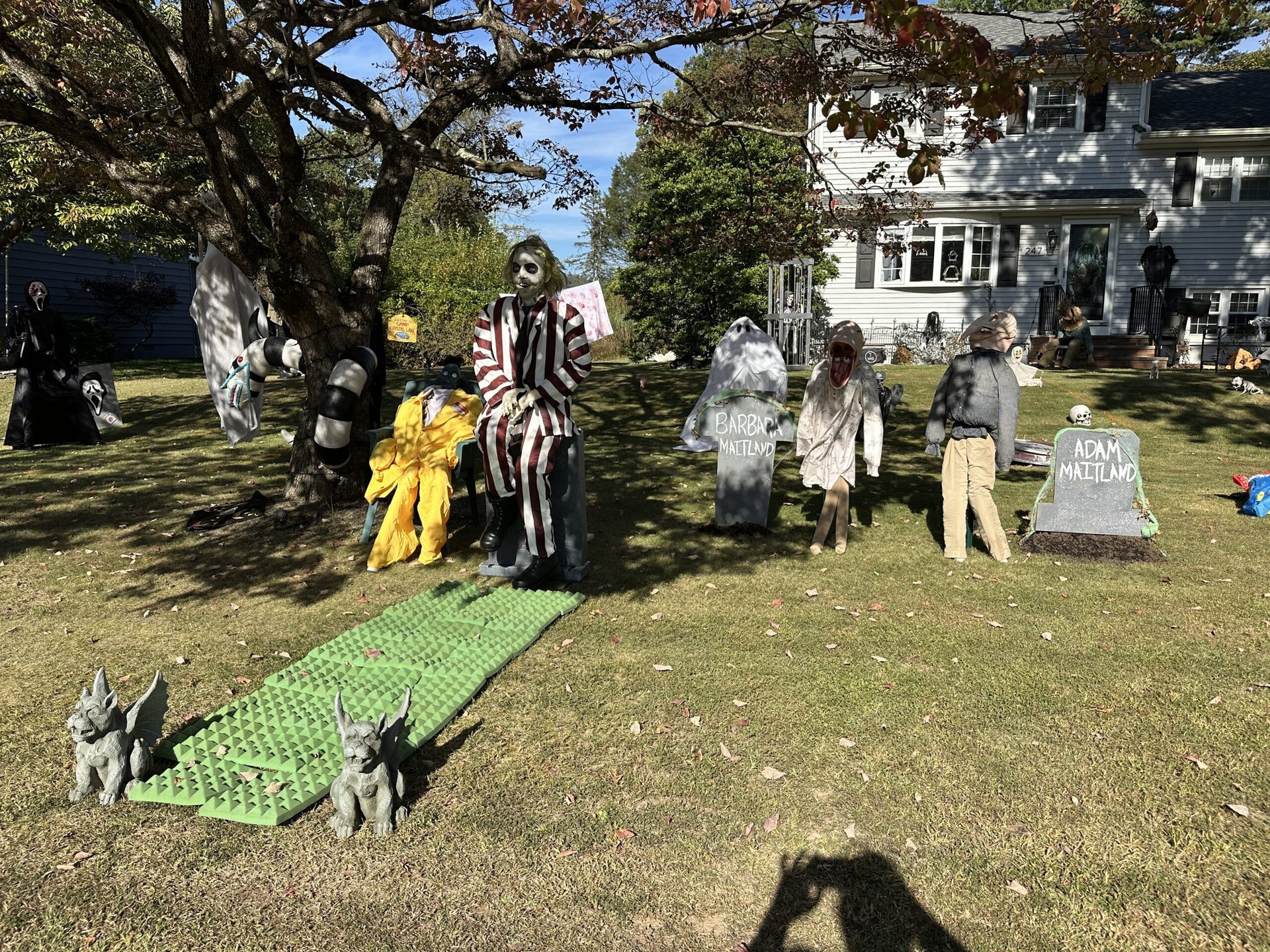 Alien Invasion Walk-through — 247 Carber St, Bridgewater