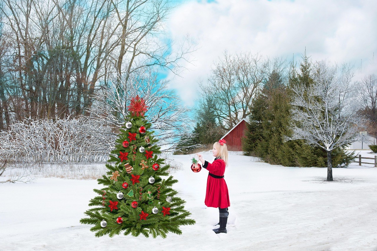 Michielli’s Merry Light Show