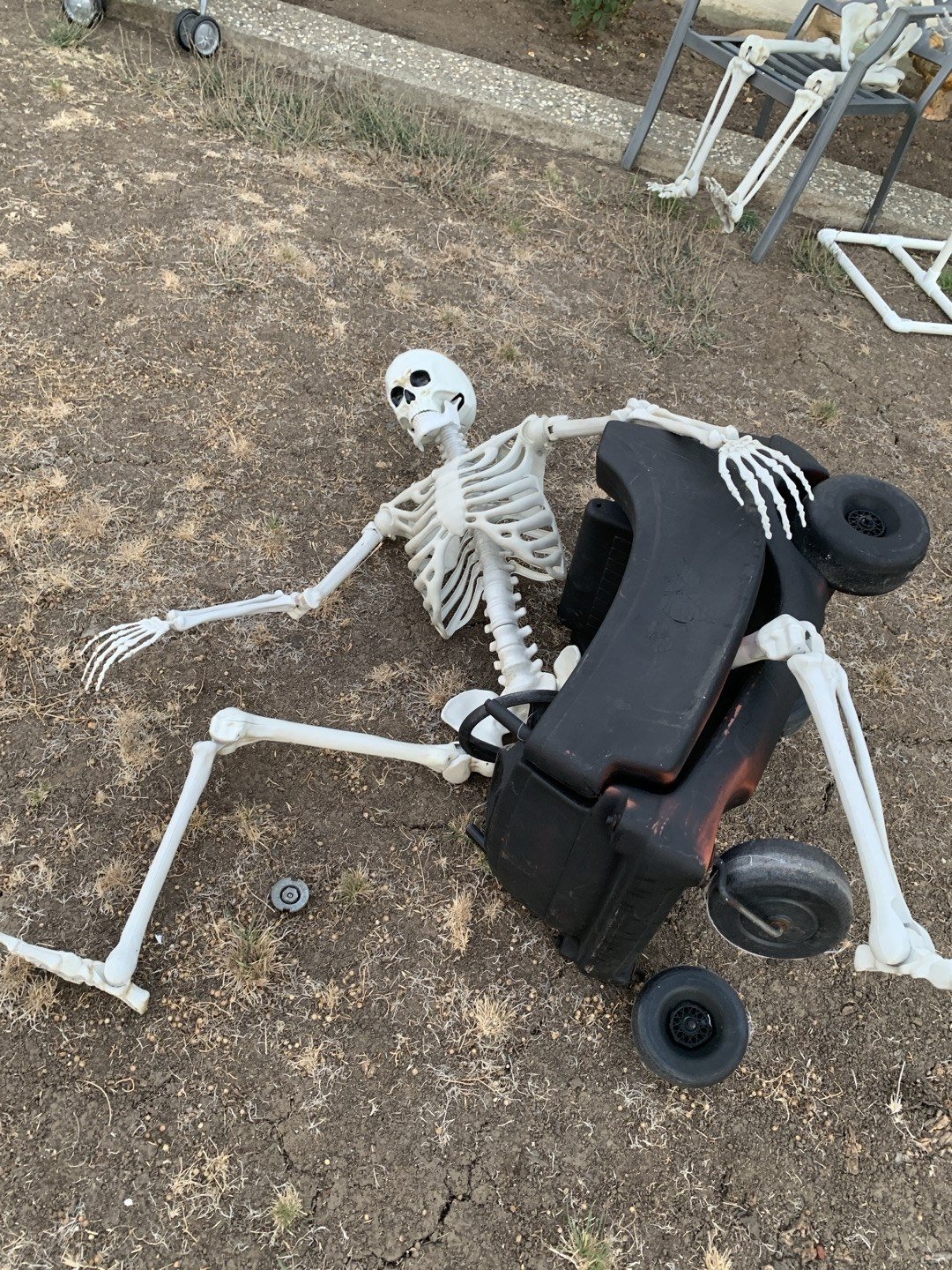 The Skeleton House