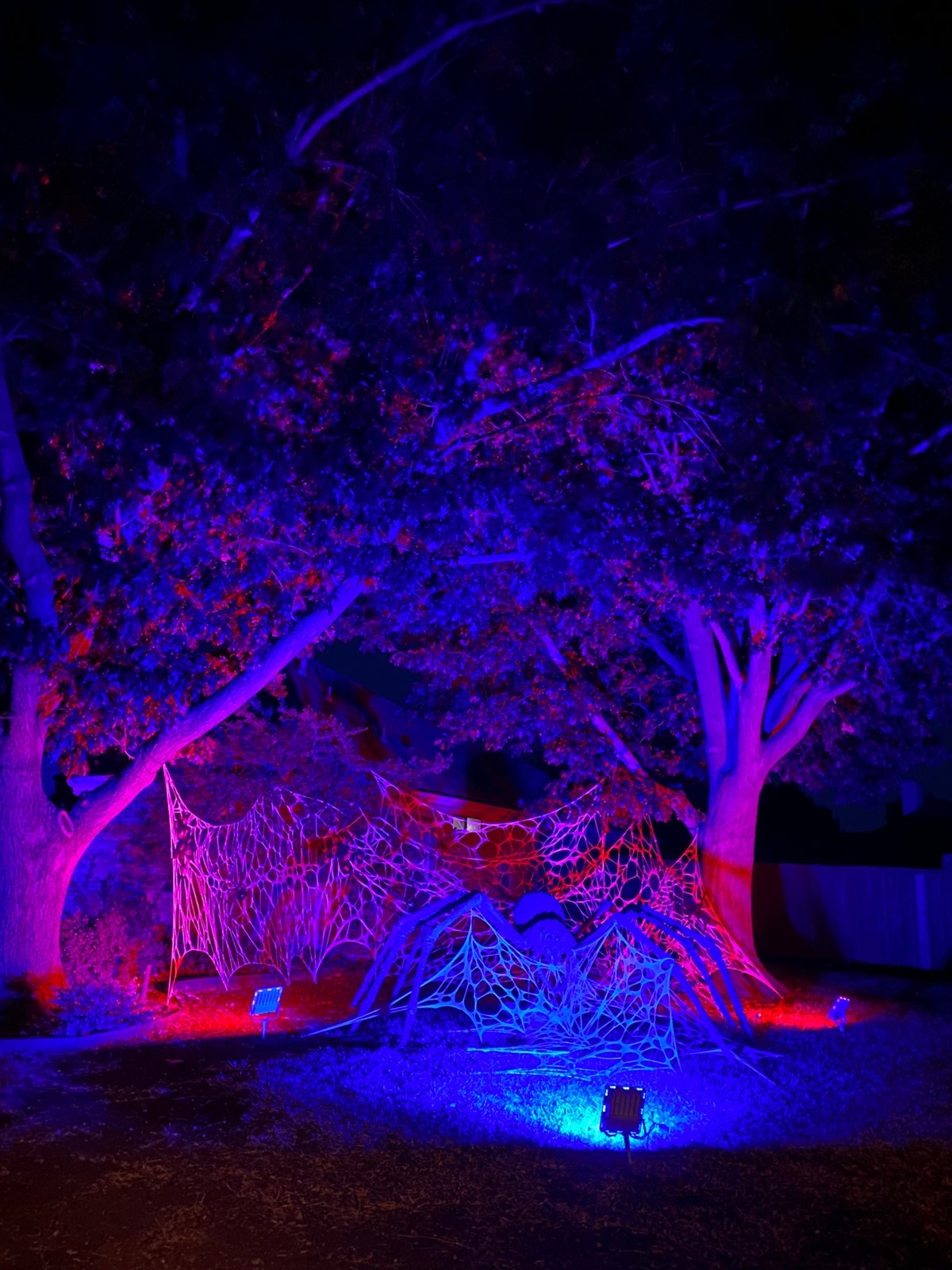 The Haunt on Sako