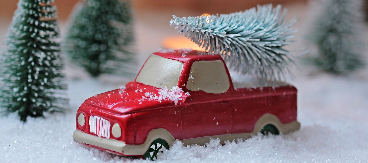 Christmas In The Pines