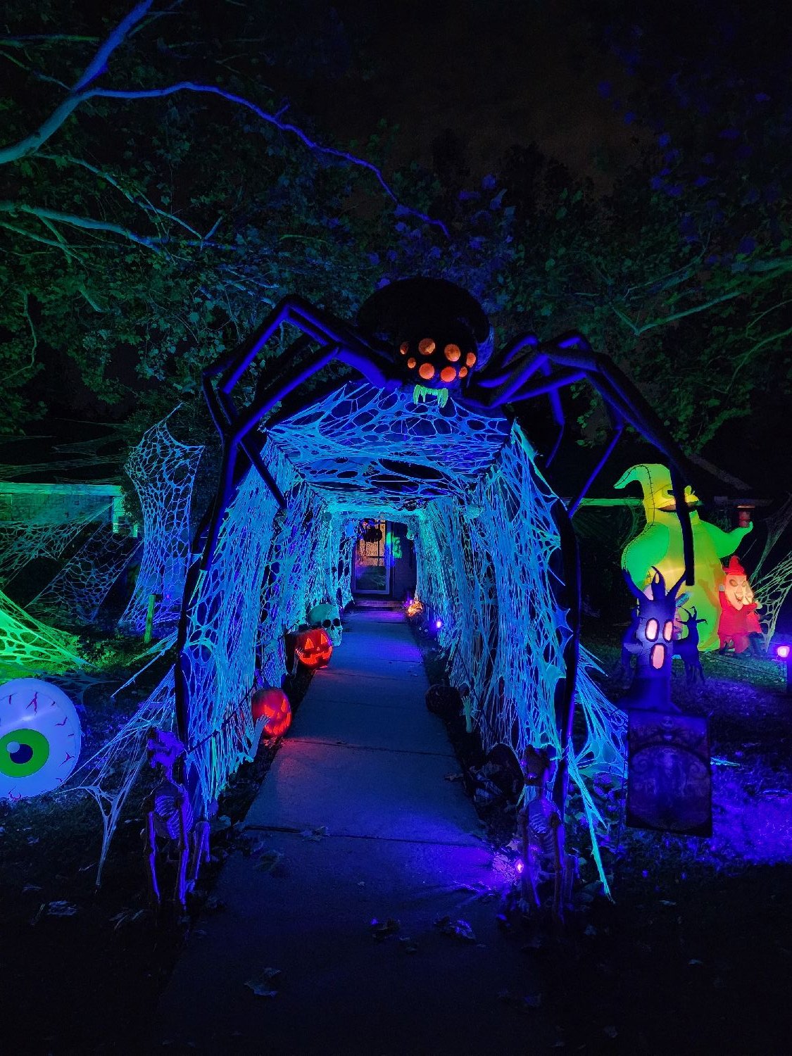 The Spider Maze Of Madness