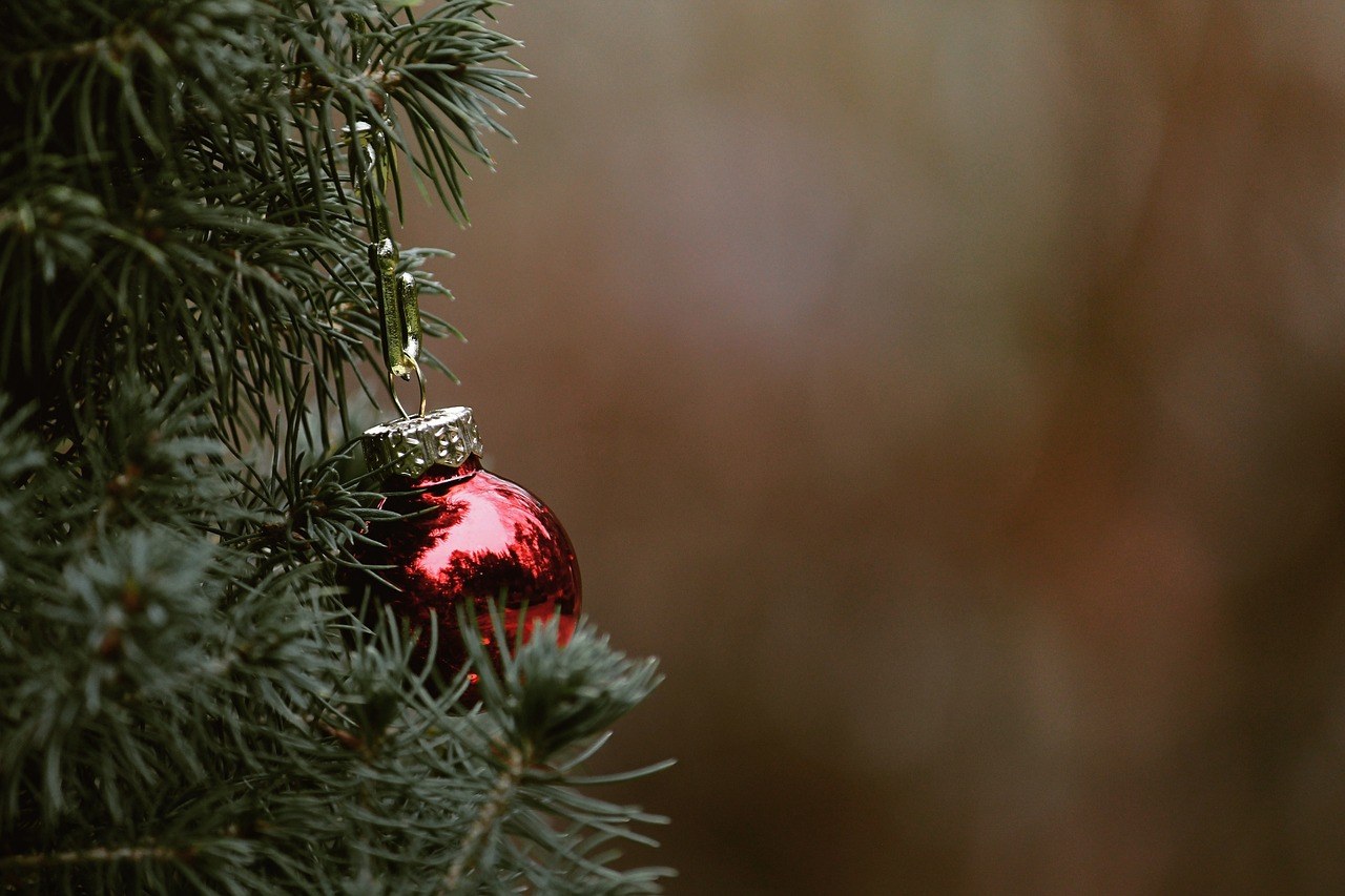 Pine Edge Pixels