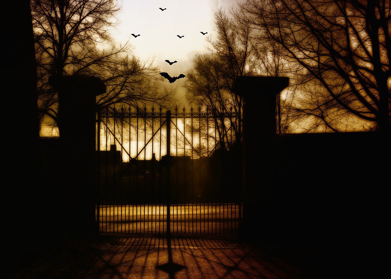 East Meadow House of Horror