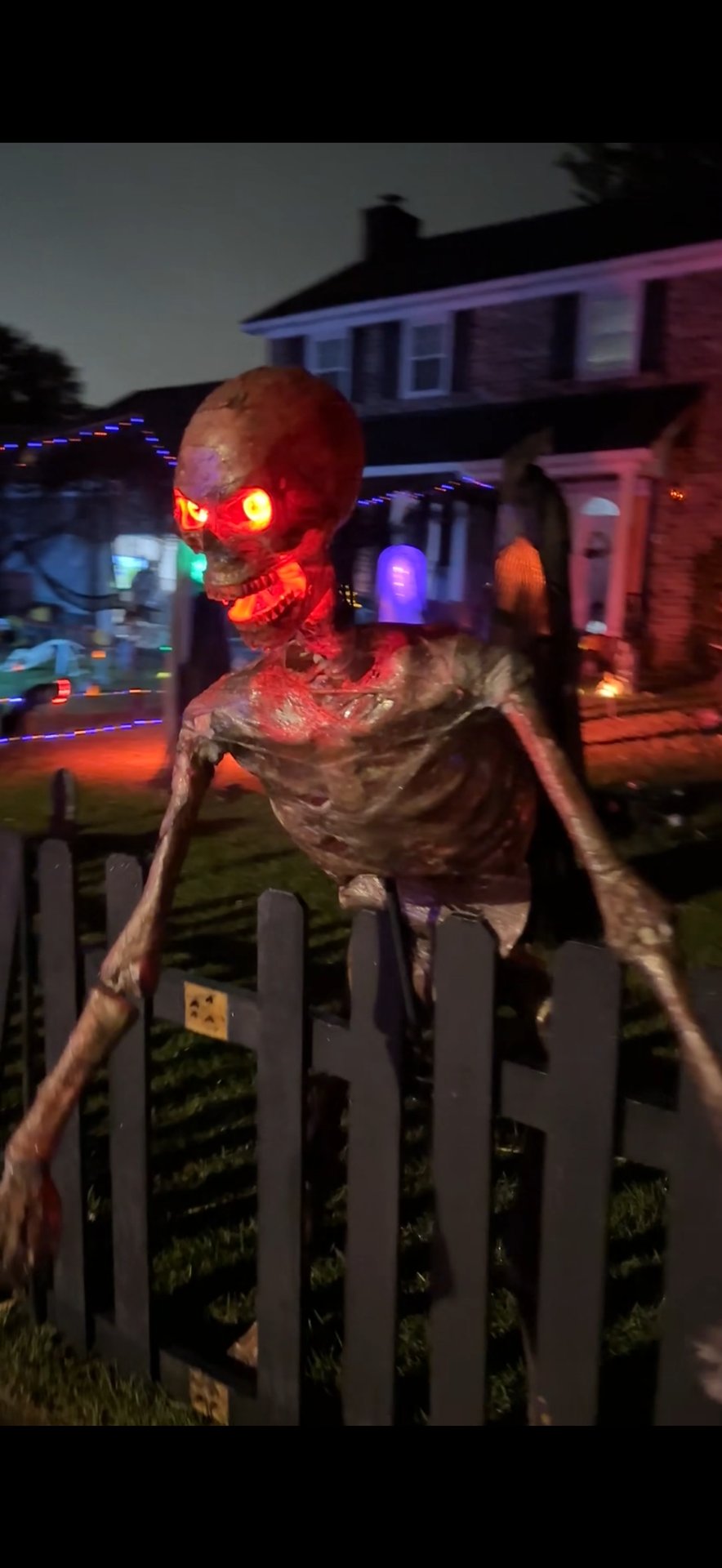 Spiders everywhere!