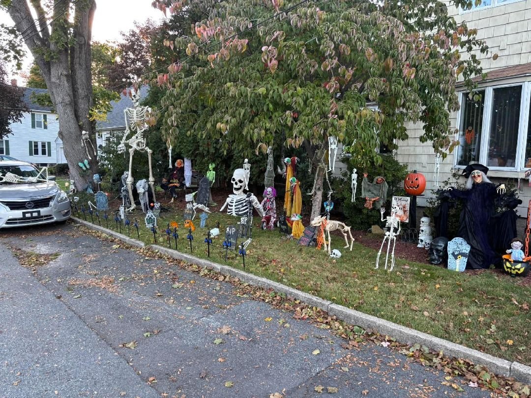 The Yard That Woke Up