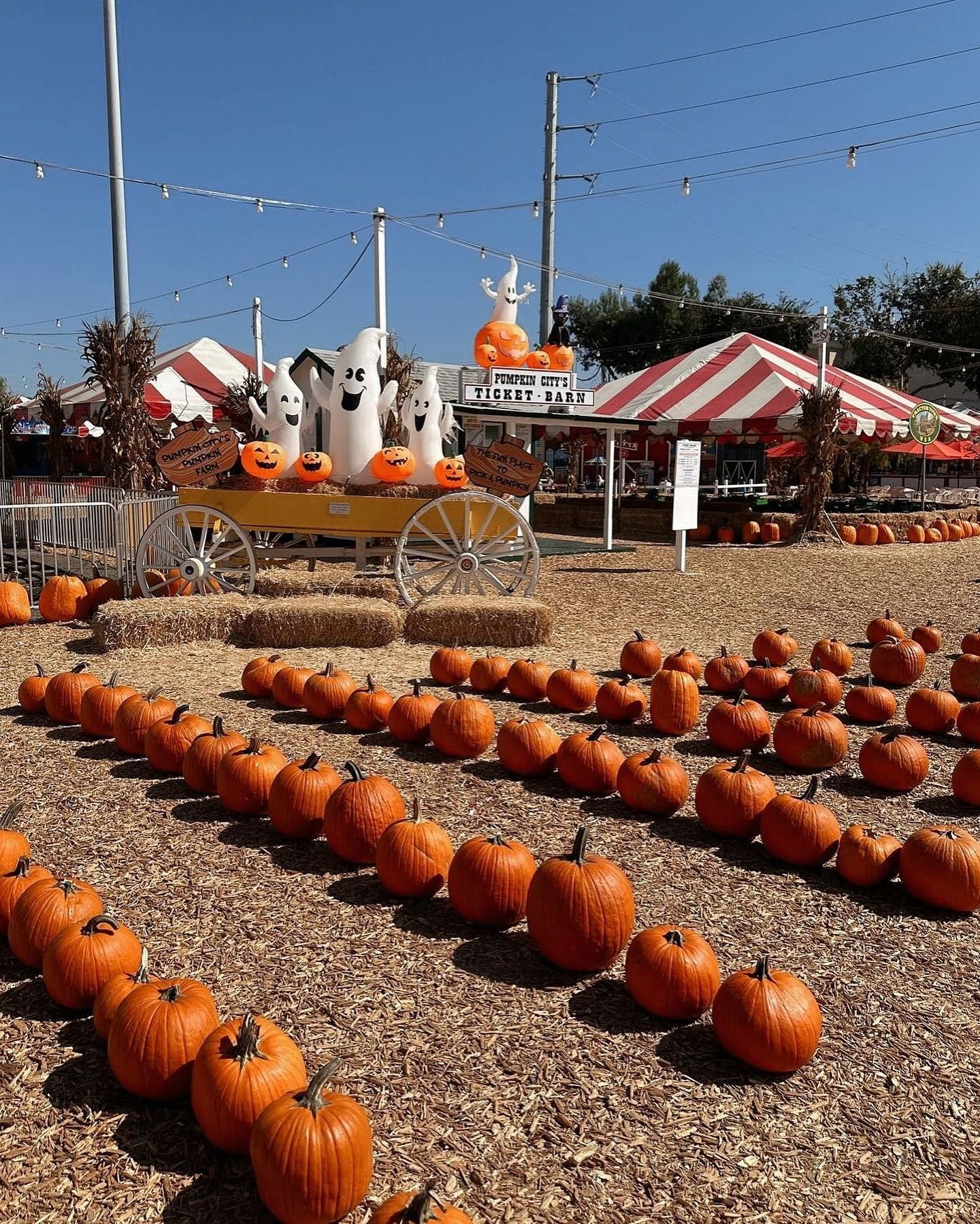 midland Ave haunted path & cemetery — 58 Midland Ave