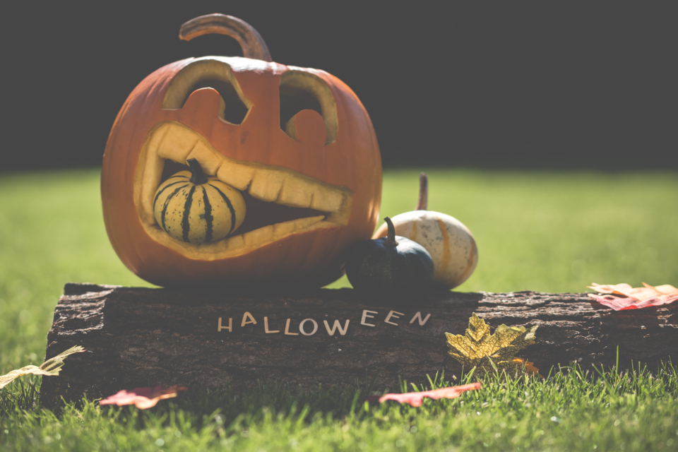 600 County Street Halloween Display