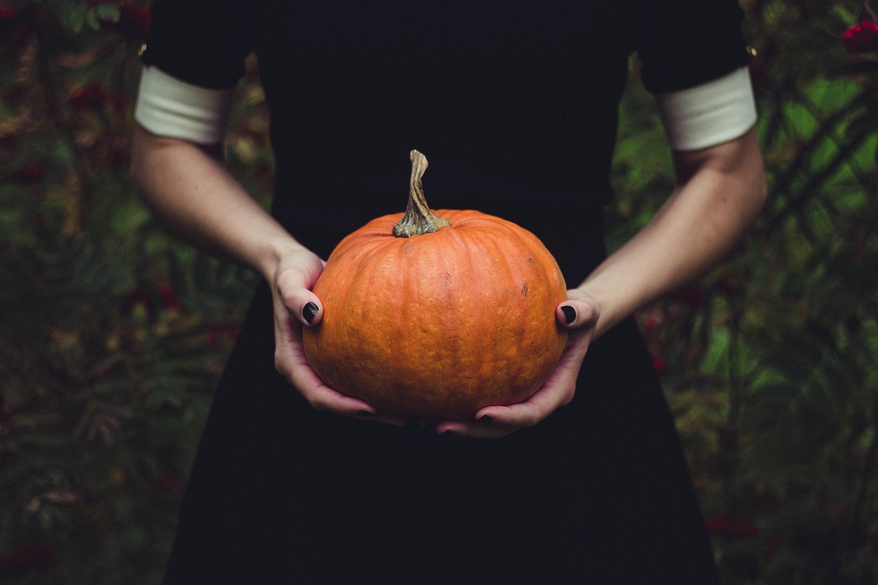 Pleasant Valley Elementary PTA Trunk or Treat (Oct 23 5:30-7:30pm)