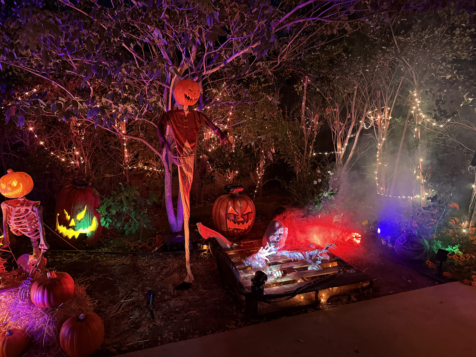 Terror on Cedar Inn Drive — 26 Cedar Inn Drive, Toms River (nightly 6:30-11pm)