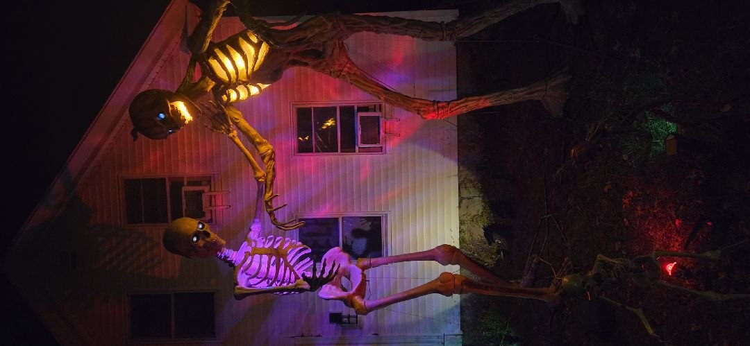 Amherst St Of Horrors