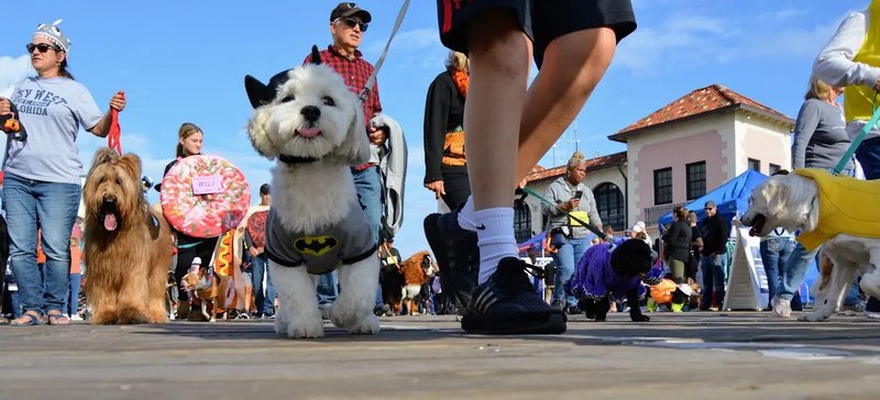 Howl'oween Doggie Costume Parade + Contest (7th Annual) — Sunday, October 18, 2026, 12:00 PM – 3:00 PM