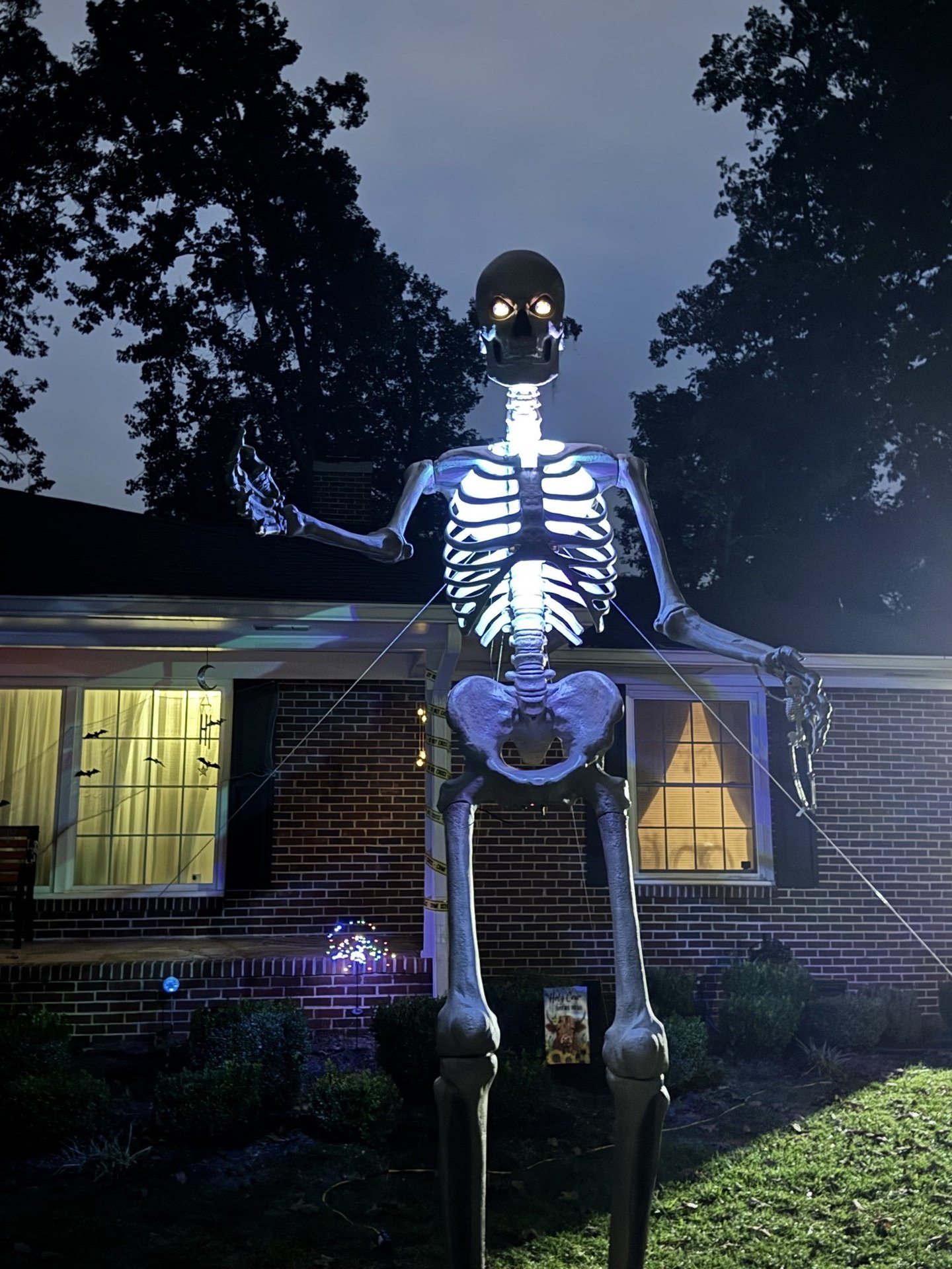Skelly Yard
