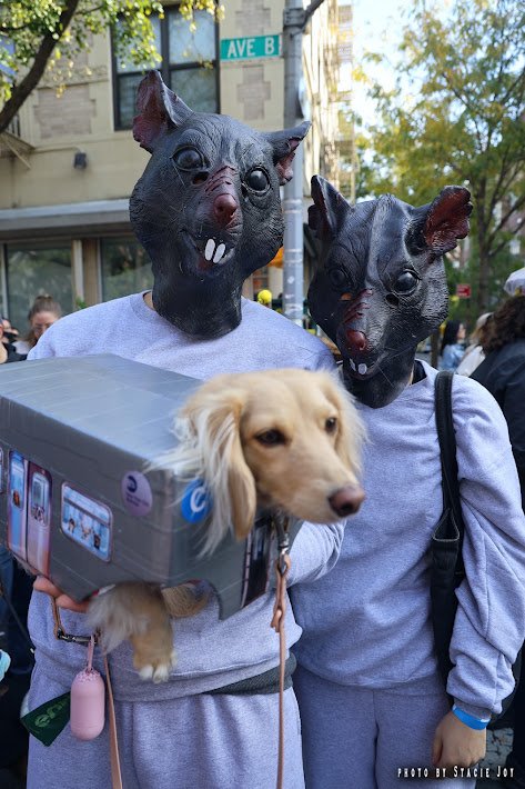 Tompkins Square Halloween Dog Parade (36th Annual) — Saturday, October 17, 2026 (confirm closer to date)