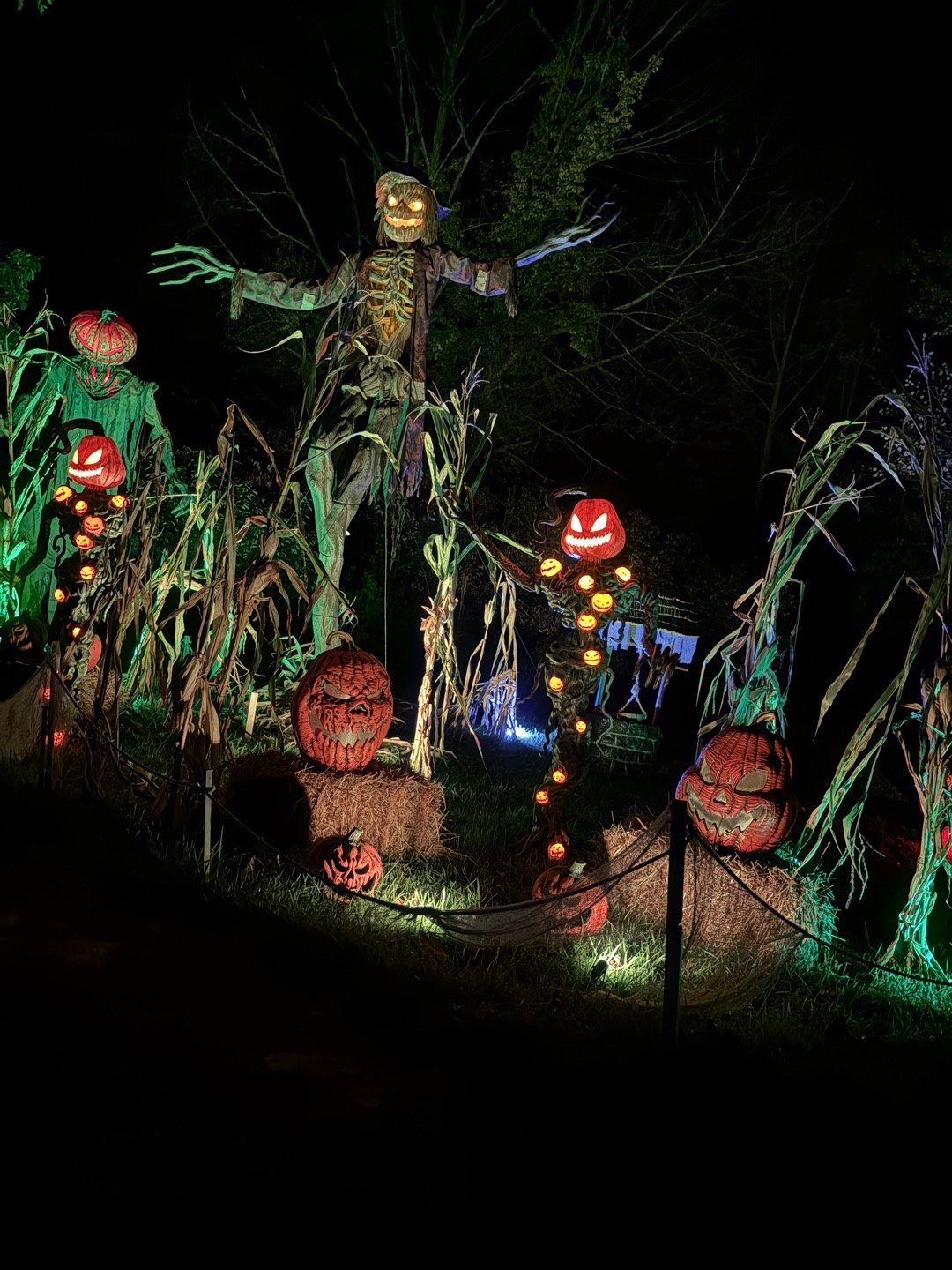 The MIDNIGHT HARVEST & LAST STOP CEMETERY