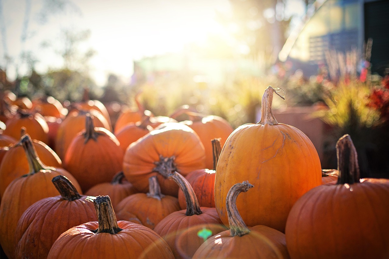 18 Bliss Avenue Halloween Display