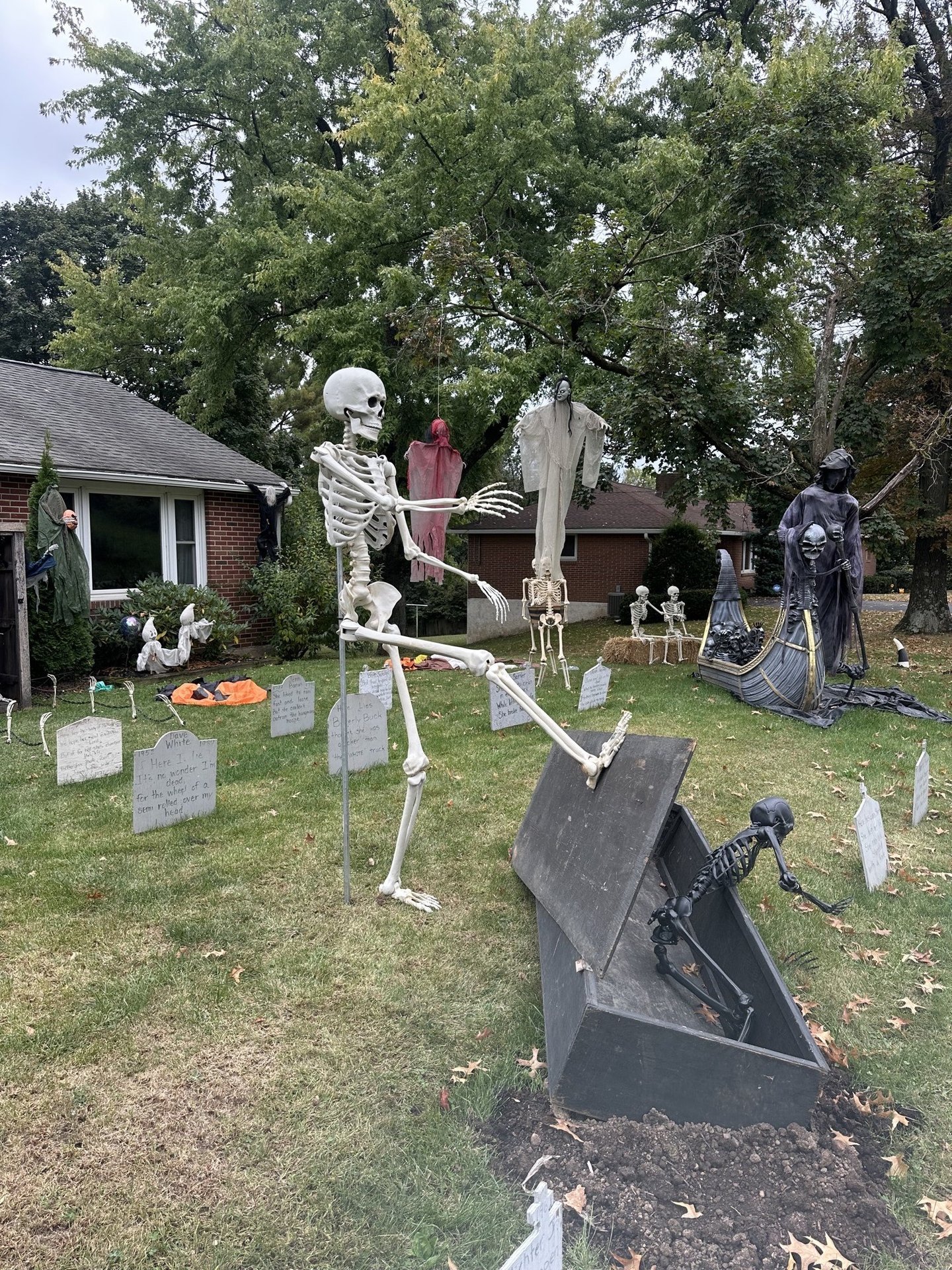 Spooky Scary Skeletons