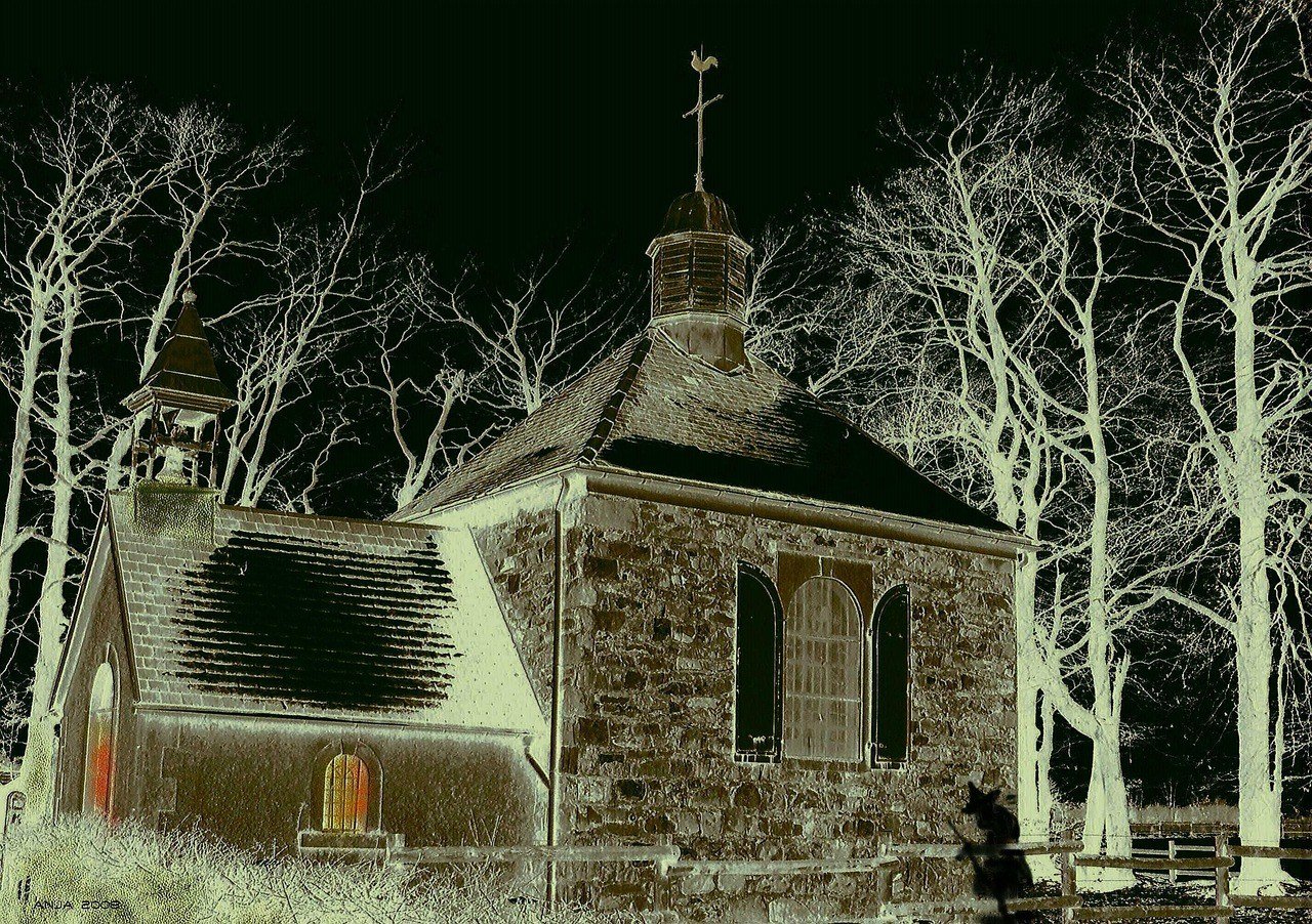 Haunted Wunderland Woods