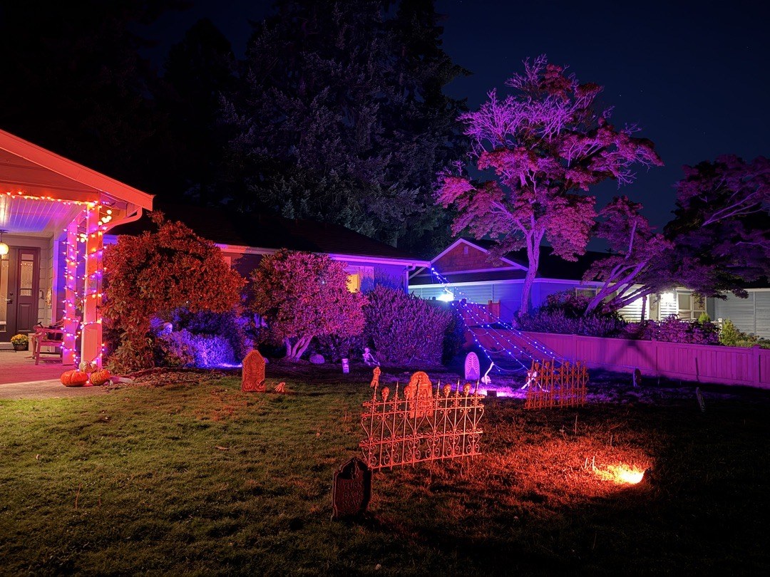 Kingsgate Garden Party